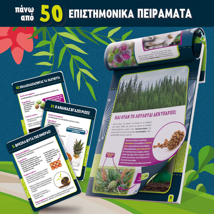 Εικόνα για Εργαστήριο Βοτανικής Lisciani - Εκπαιδευτικό Σετ με 50+ Πειράματα & Πραγματικούς Σπόρους 97364