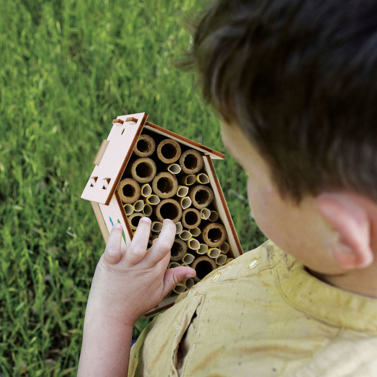 Εικόνα για Εργαστήριο Μελισσοκομίας I'm a Genius με Bee Hotel, Κεριά & Πειράματα 7-12 Ετών Lisciani 110292