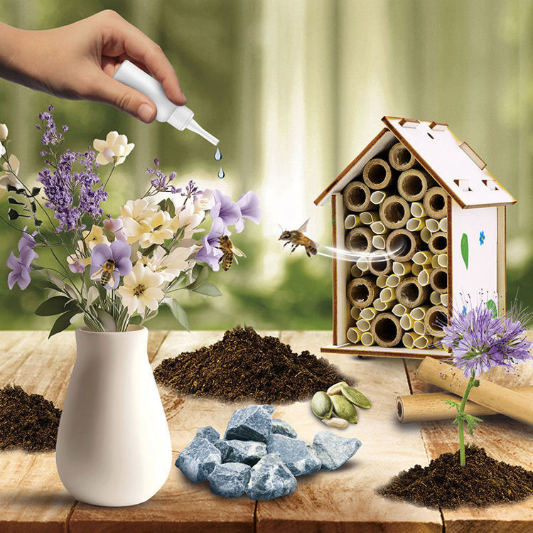 Εικόνα για Εργαστήριο Μελισσοκομίας I'm a Genius με Bee Hotel, Κεριά & Πειράματα 7-12 Ετών Lisciani 110292